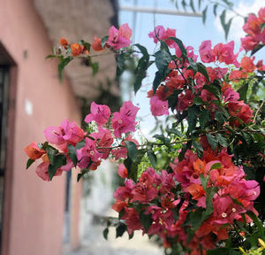 Meet your Posher, Jessy